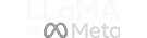 Meta LLaMa